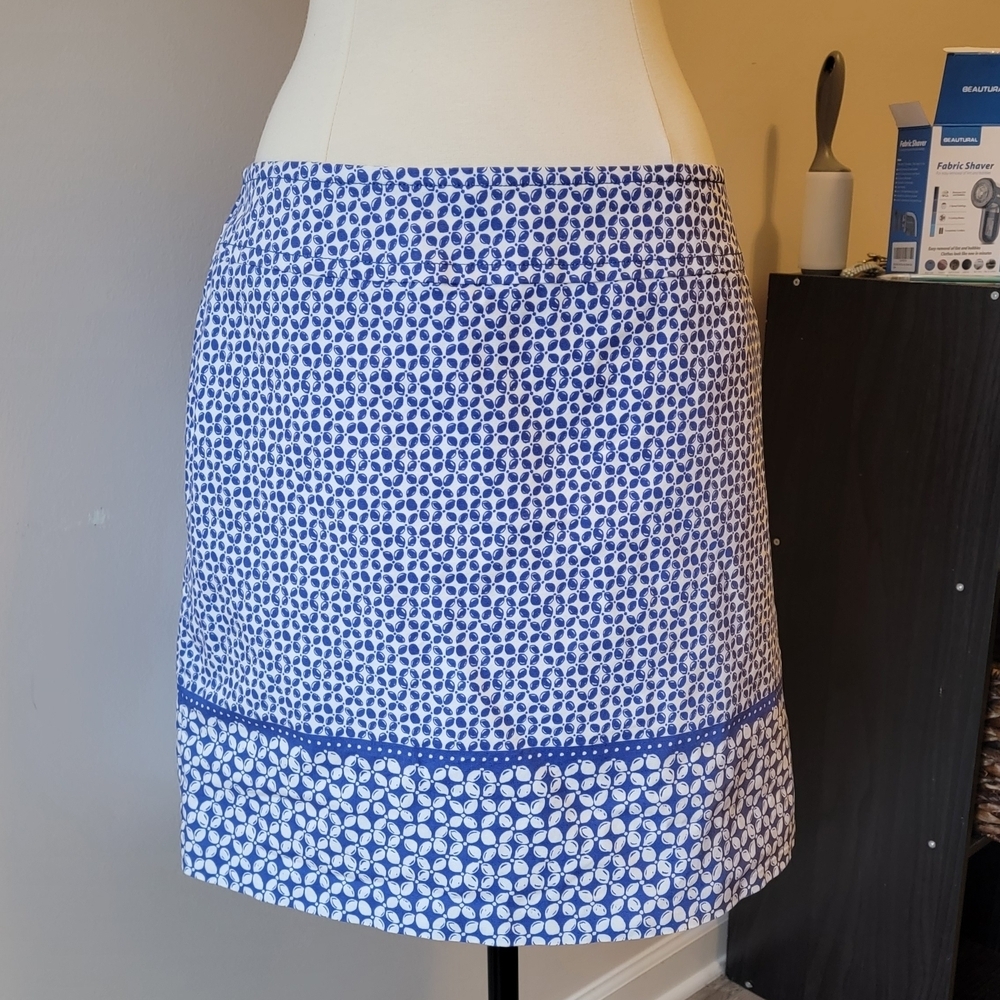 Talbots Blue and White Mini Skirt